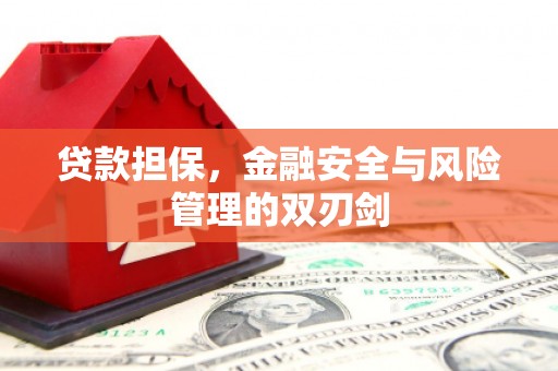 岱岳贷款担保，金融安全与风险管理的双刃剑