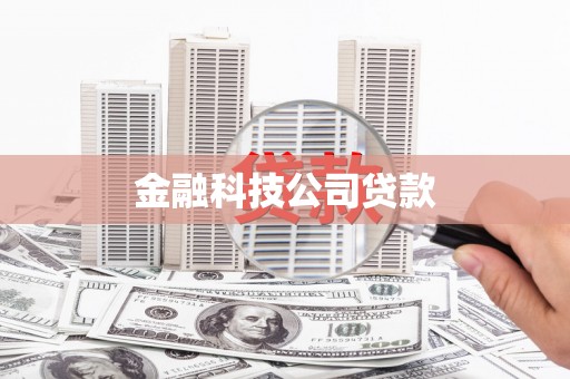 岱岳金融科技公司贷款