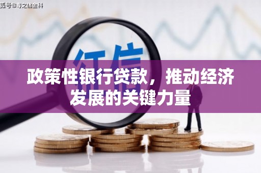 岱岳政策性银行贷款，推动经济发展的关键力量