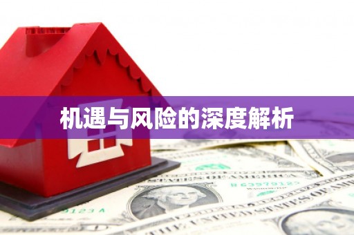 岱岳机遇与风险的深度解析