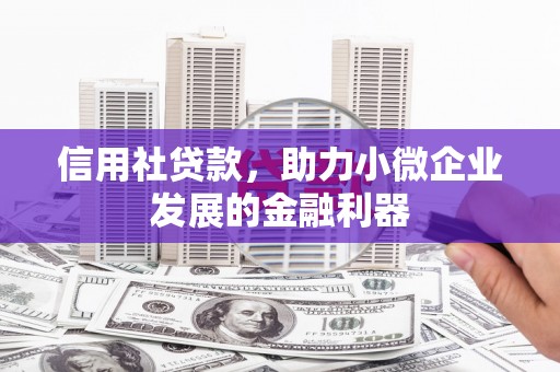 岱岳信用社贷款，助力小微企业发展的金融利器