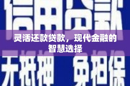 岱岳灵活还款贷款，现代金融的智慧选择
