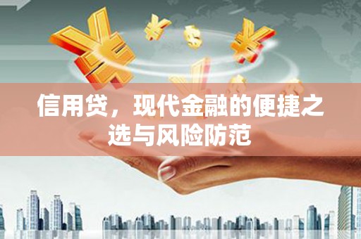 岱岳信用贷，现代金融的便捷之选与风险防范