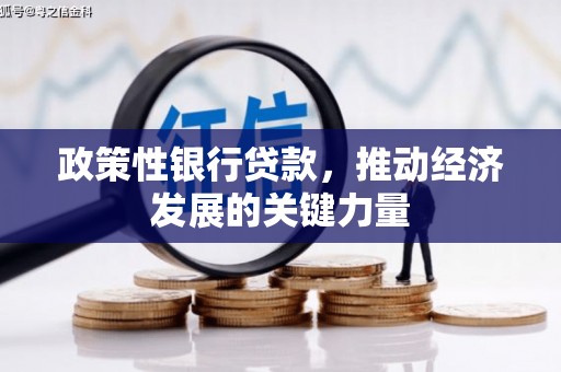 岱岳政策性银行贷款，推动经济发展的关键力量
