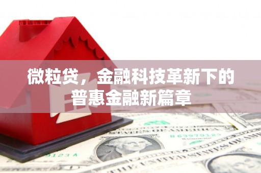 岱岳微粒贷，金融科技革新下的普惠金融新篇章