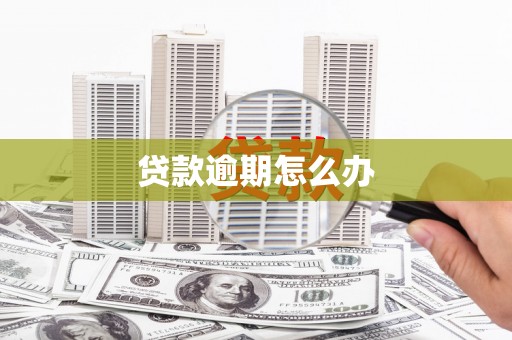 岱岳贷款逾期怎么办