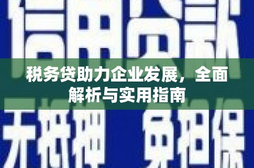 岱岳税务贷助力企业发展，全面解析与实用指南