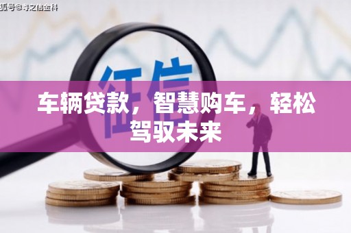 岱岳车辆贷款，智慧购车，轻松驾驭未来