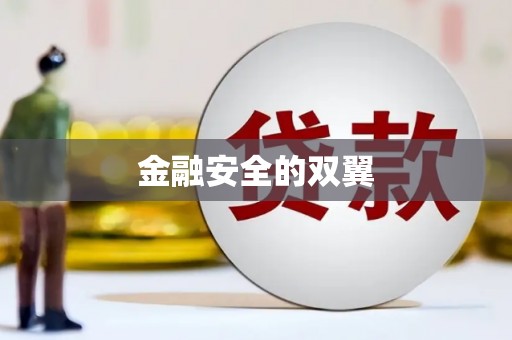岱岳金融安全的双翼