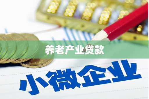 岱岳养老产业贷款