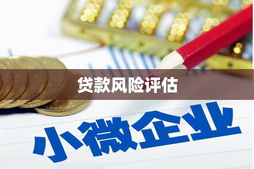 岱岳贷款风险评估