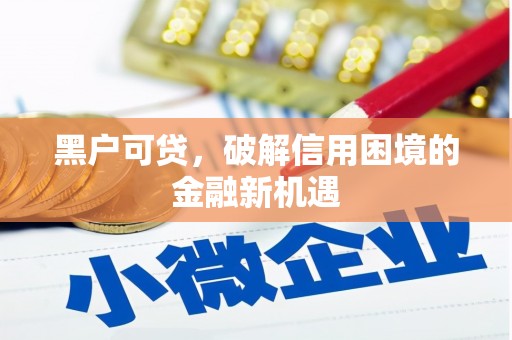 岱岳黑户可贷，破解信用困境的金融新机遇