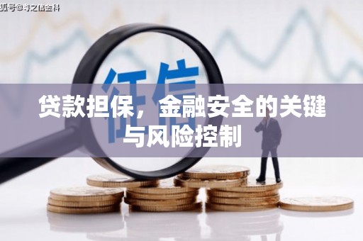 岱岳贷款担保，金融安全的关键与风险控制