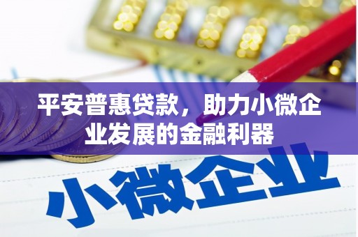 岱岳平安普惠贷款，助力小微企业发展的金融利器