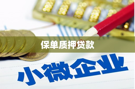 岱岳保单质押贷款