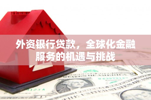 岱岳外资银行贷款，全球化金融服务的机遇与挑战