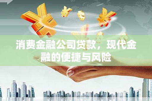 岱岳消费金融公司贷款，现代金融的便捷与风险