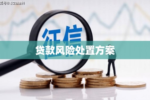 岱岳贷款风险处置方案