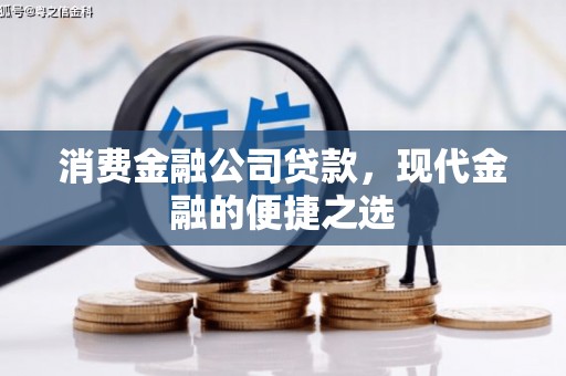 岱岳消费金融公司贷款，现代金融的便捷之选