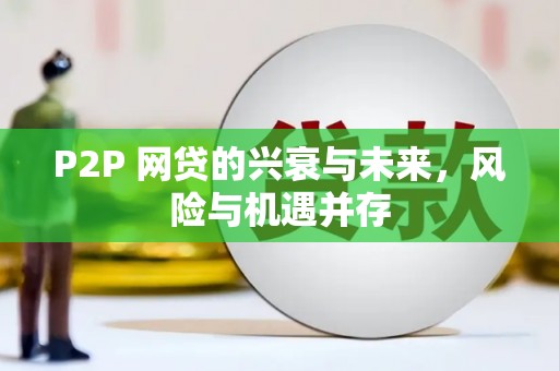 岱岳P2P 网贷的兴衰与未来，风险与机遇并存