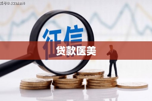 岱岳贷款医美