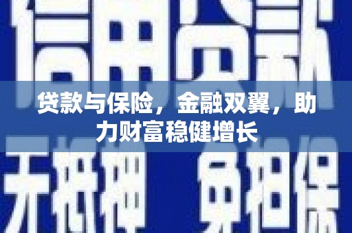 岱岳贷款与保险，金融双翼，助力财富稳健增长