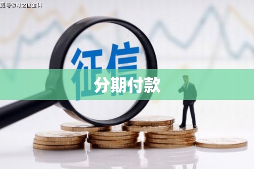 岱岳分期付款