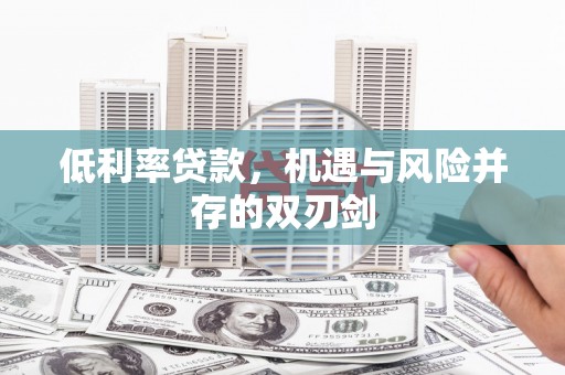 岱岳低利率贷款，机遇与风险并存的双刃剑