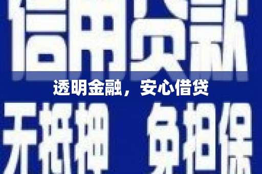 岱岳透明金融，安心借贷