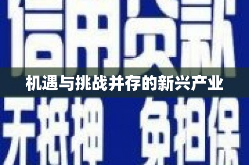 岱岳机遇与挑战并存的新兴产业