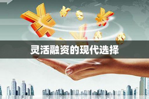 岱岳灵活融资的现代选择