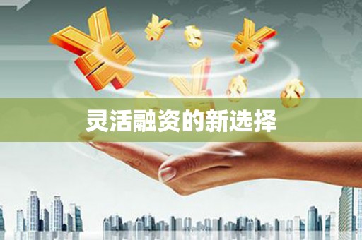 岱岳灵活融资的新选择