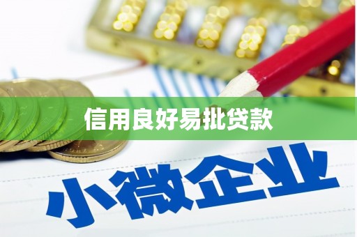 岱岳信用良好易批贷款