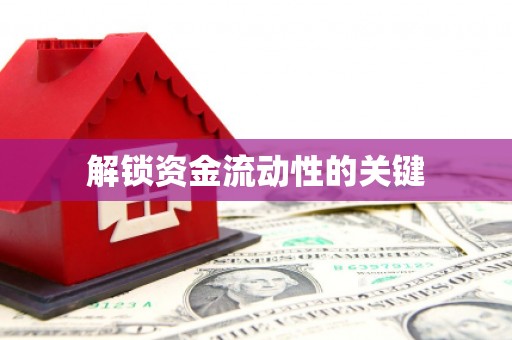 岱岳解锁资金流动性的关键