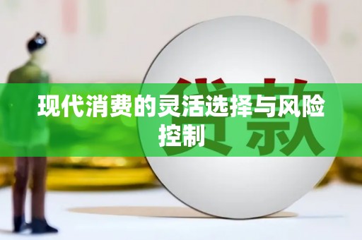 岱岳现代消费的灵活选择与风险控制