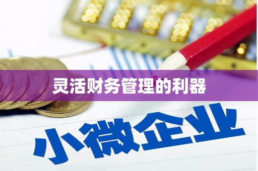 岱岳灵活财务管理的利器