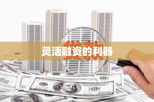 岱岳灵活融资的利器