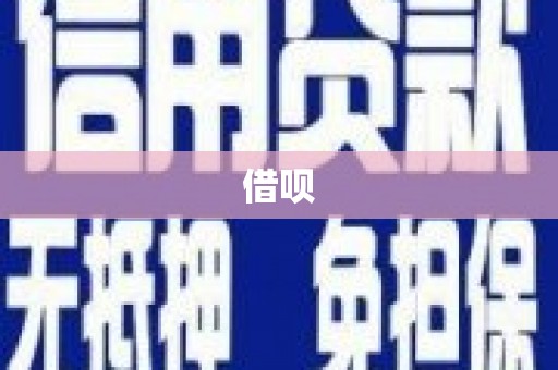 岱岳借呗