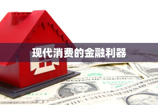 岱岳现代消费的金融利器