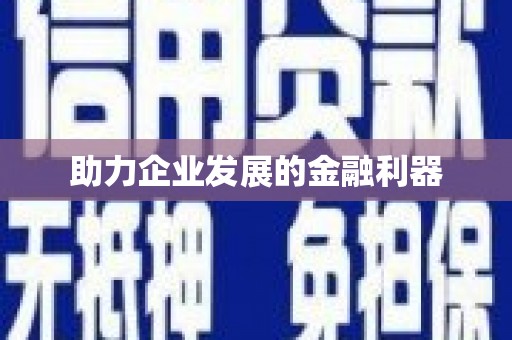 岱岳助力企业发展的金融利器