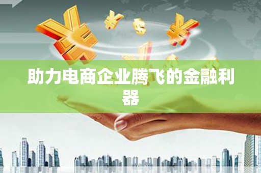 岱岳助力电商企业腾飞的金融利器