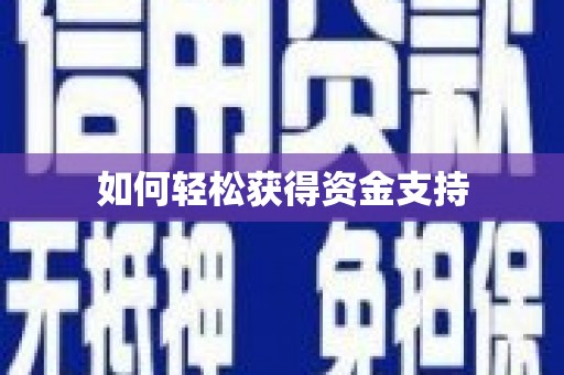 岱岳如何轻松获得资金支持