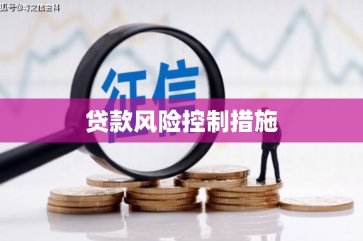 岱岳贷款风险控制措施