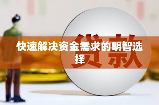 岱岳快速解决资金需求的明智选择