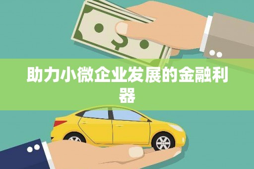 岱岳助力小微企业发展的金融利器