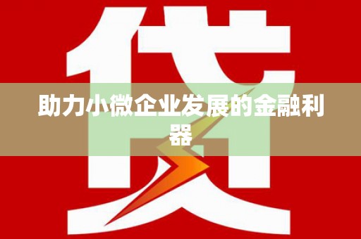 岱岳助力小微企业发展的金融利器