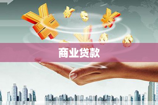 岱岳商业贷款
