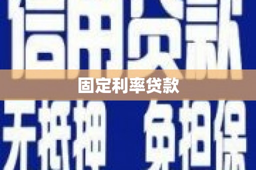 岱岳固定利率贷款