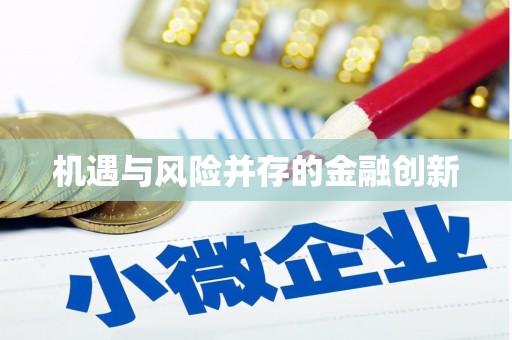 岱岳机遇与风险并存的金融创新