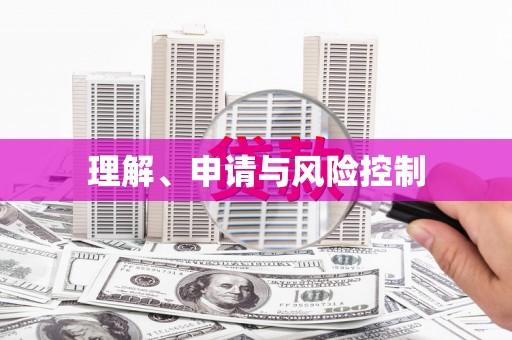岱岳理解、申请与风险控制